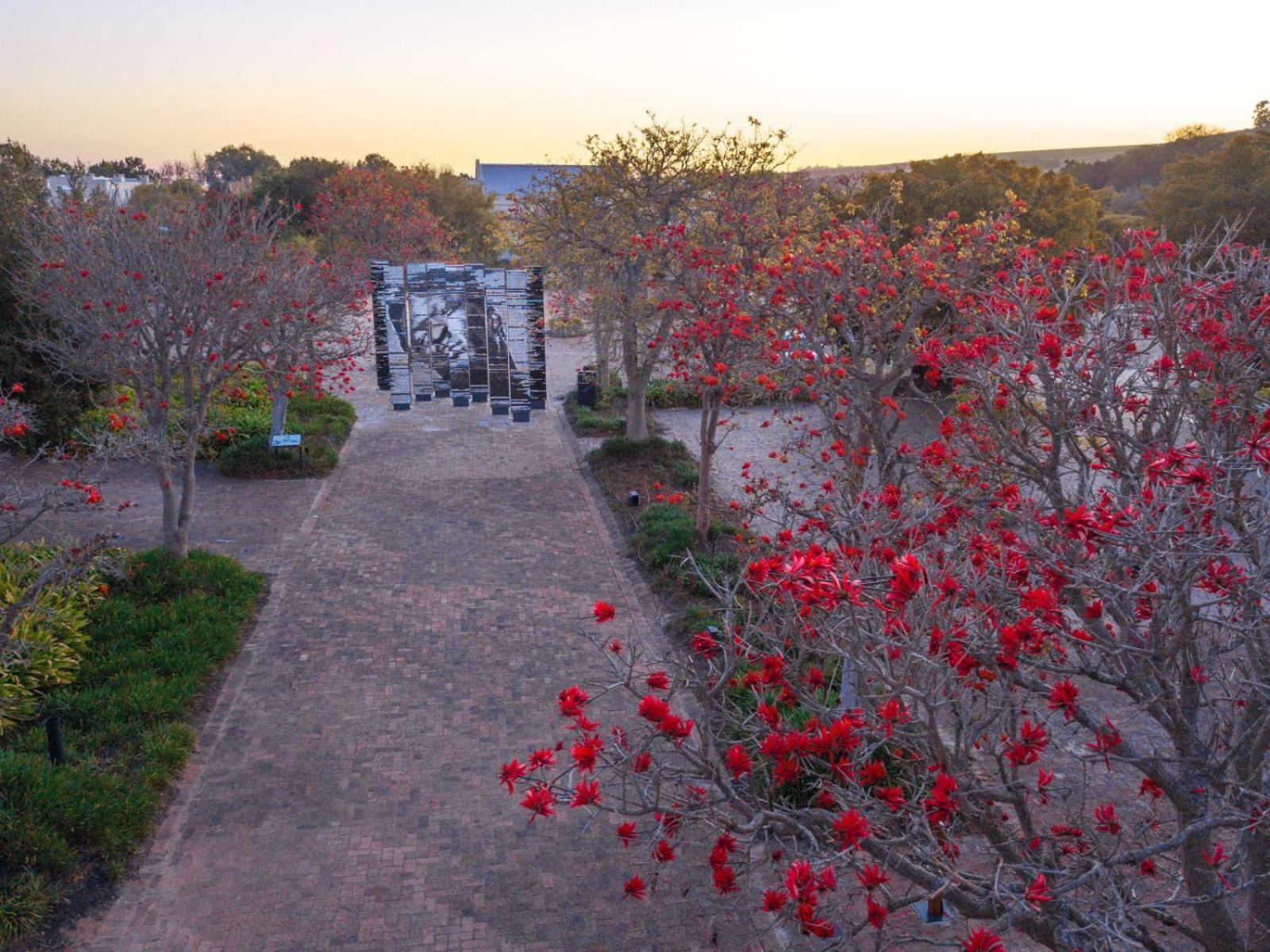 Spier Hotel And Wine Farm Stellenbosch Luaran gambar