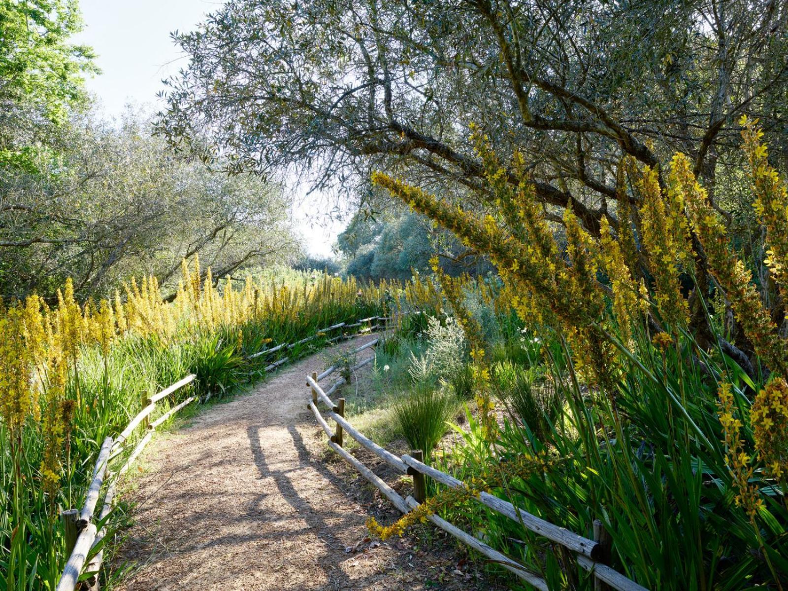 Spier Hotel And Wine Farm Stellenbosch Luaran gambar